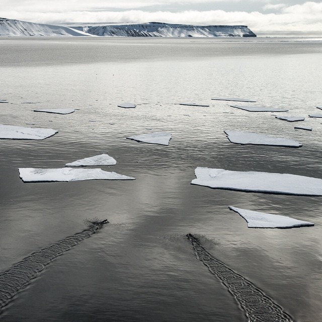 Icey waters in Svalbard