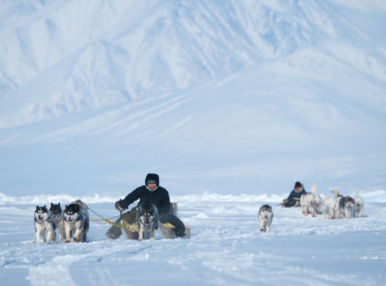 Two dog sled teams racing.