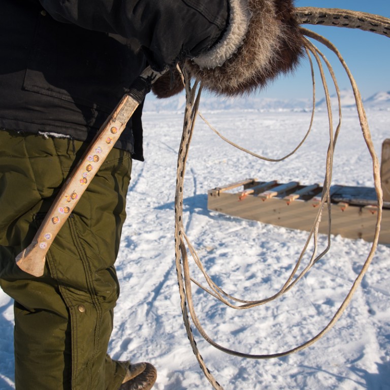 A closeup of the tool used to guide a dog sled team.